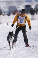 Lenk 2013